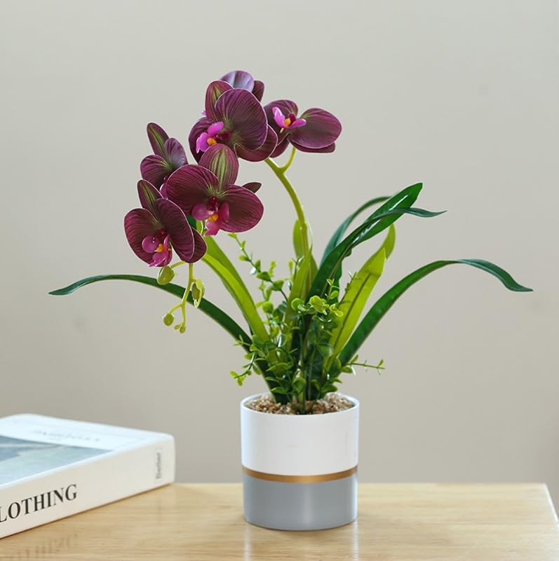 UMAI Artificial Plant with Pot 36cm Height | 6 Headed Moth Orchid | Natural Look Plastic Plants for Home Decor, Office Desk, Bedroom, Balcony, Living Room | Table Top, Shelves | Decoration