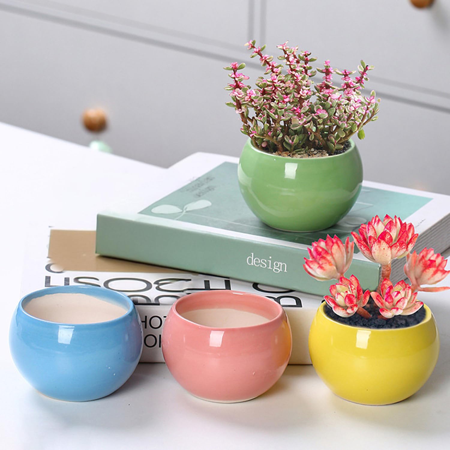 ceramic plant pots small Ekhasa Small Ceramic Pots for Plants with Drainage Hole