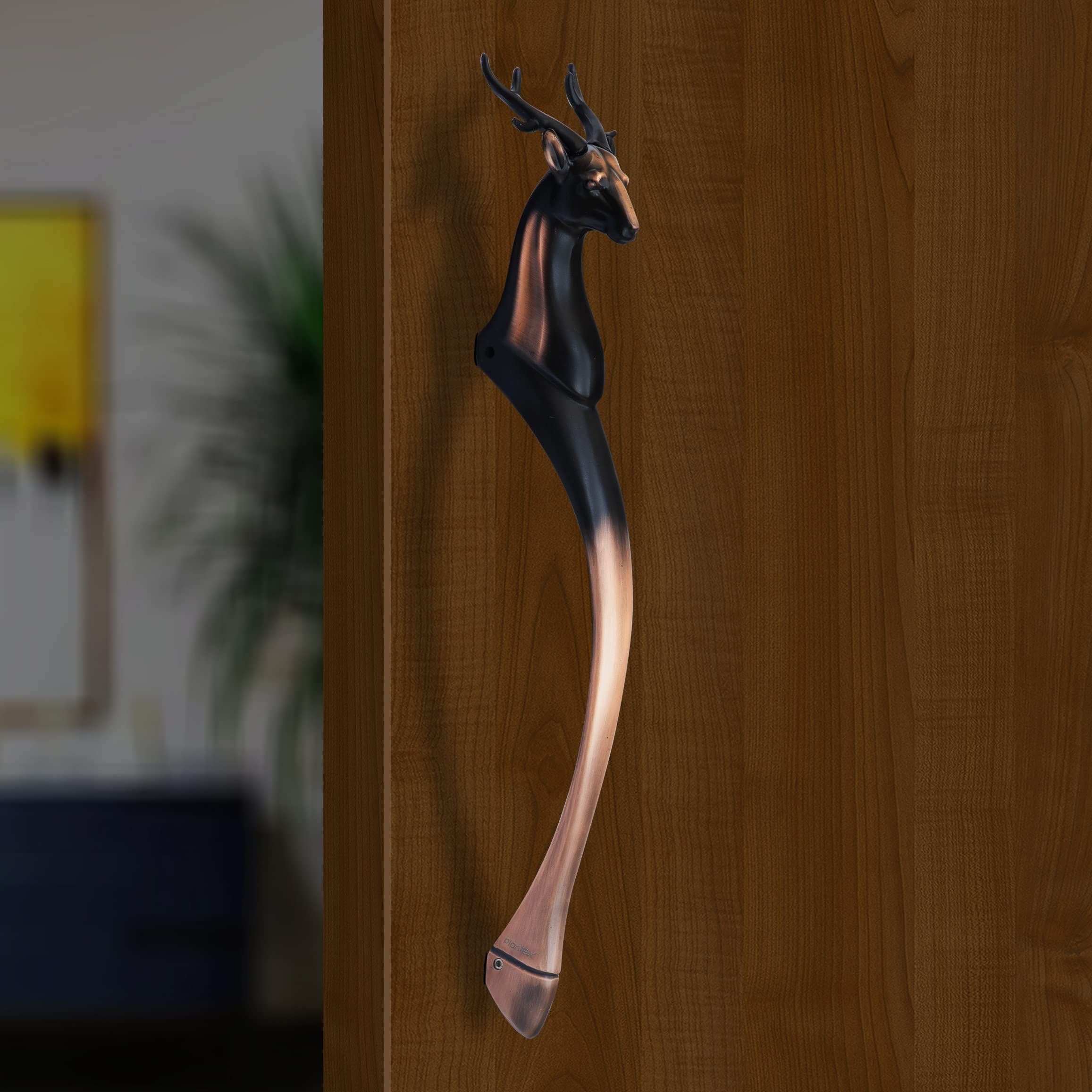 Image Image