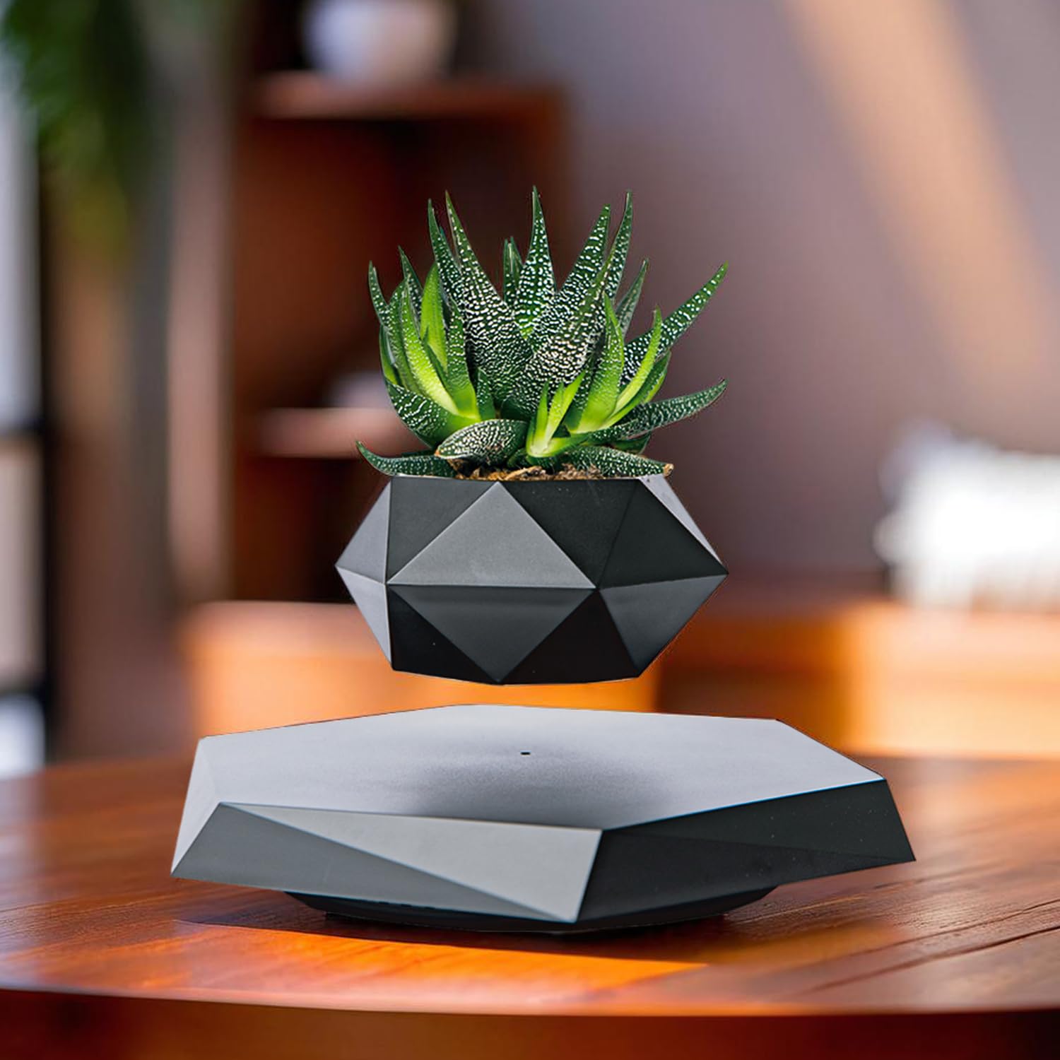 floating succulent pot Buy Ekhasa Levitating Pot: Indoor Floating Flower Pot