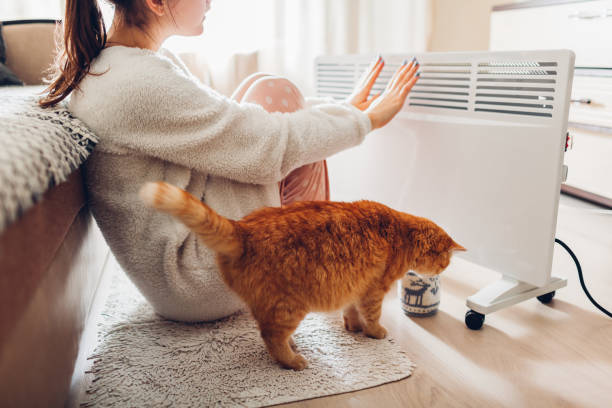 The Pros and Cons of Different Types of Room Heaters