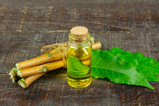Neem Oil: A Natural Solution to Common Skin Problems
