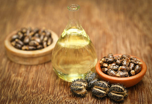 castor oil for dry hair