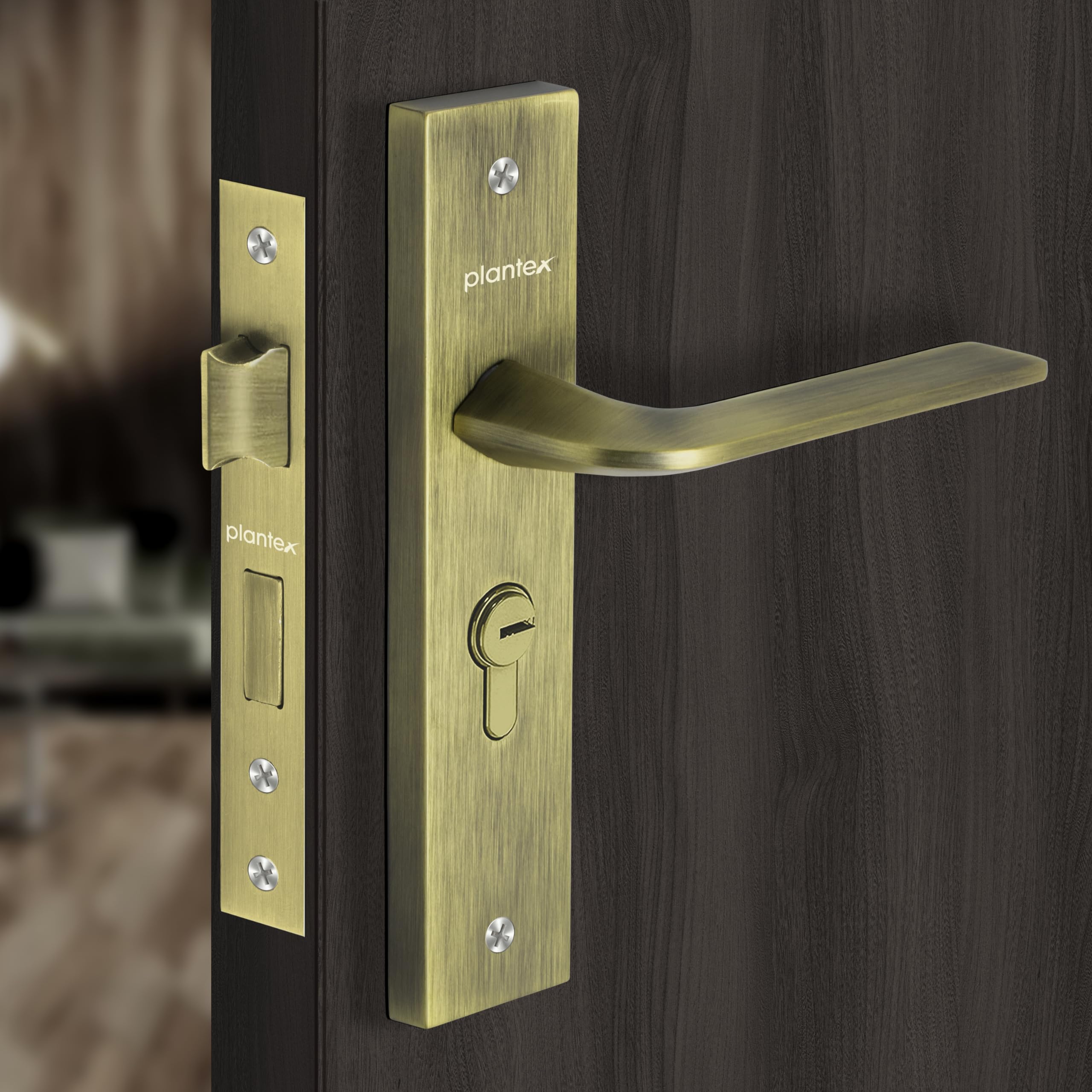 Plantex Heavy Duty Door Lock - reliable main door security