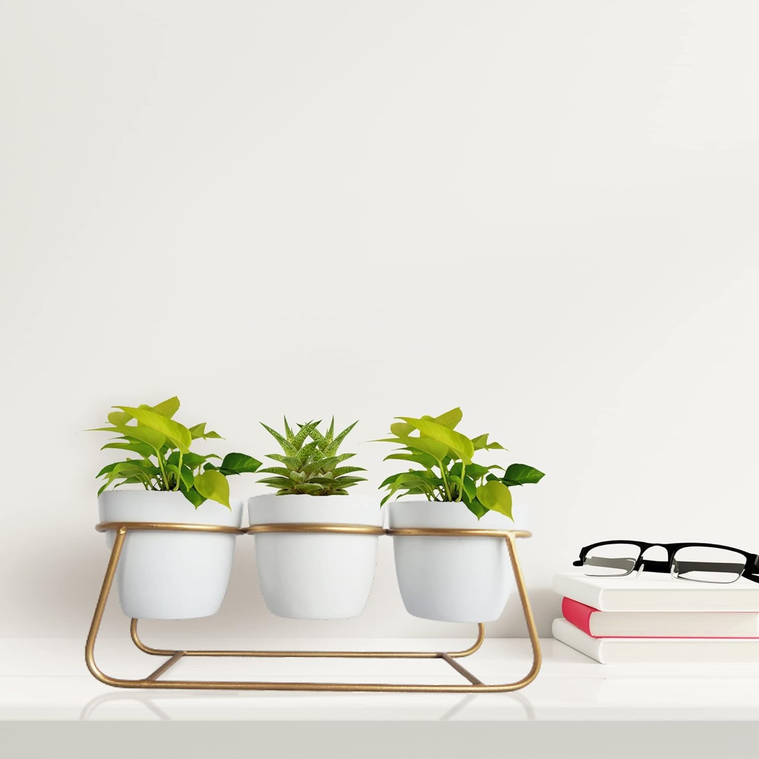 Kuber Industries set of 3 planters - Living room beautification