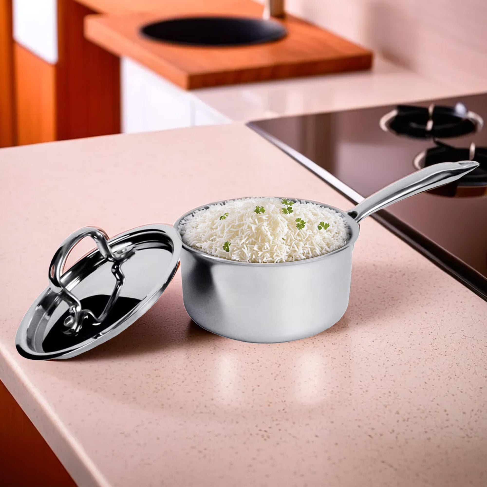 USHA SHRIRAM saucepan - perfect for induction cooktops