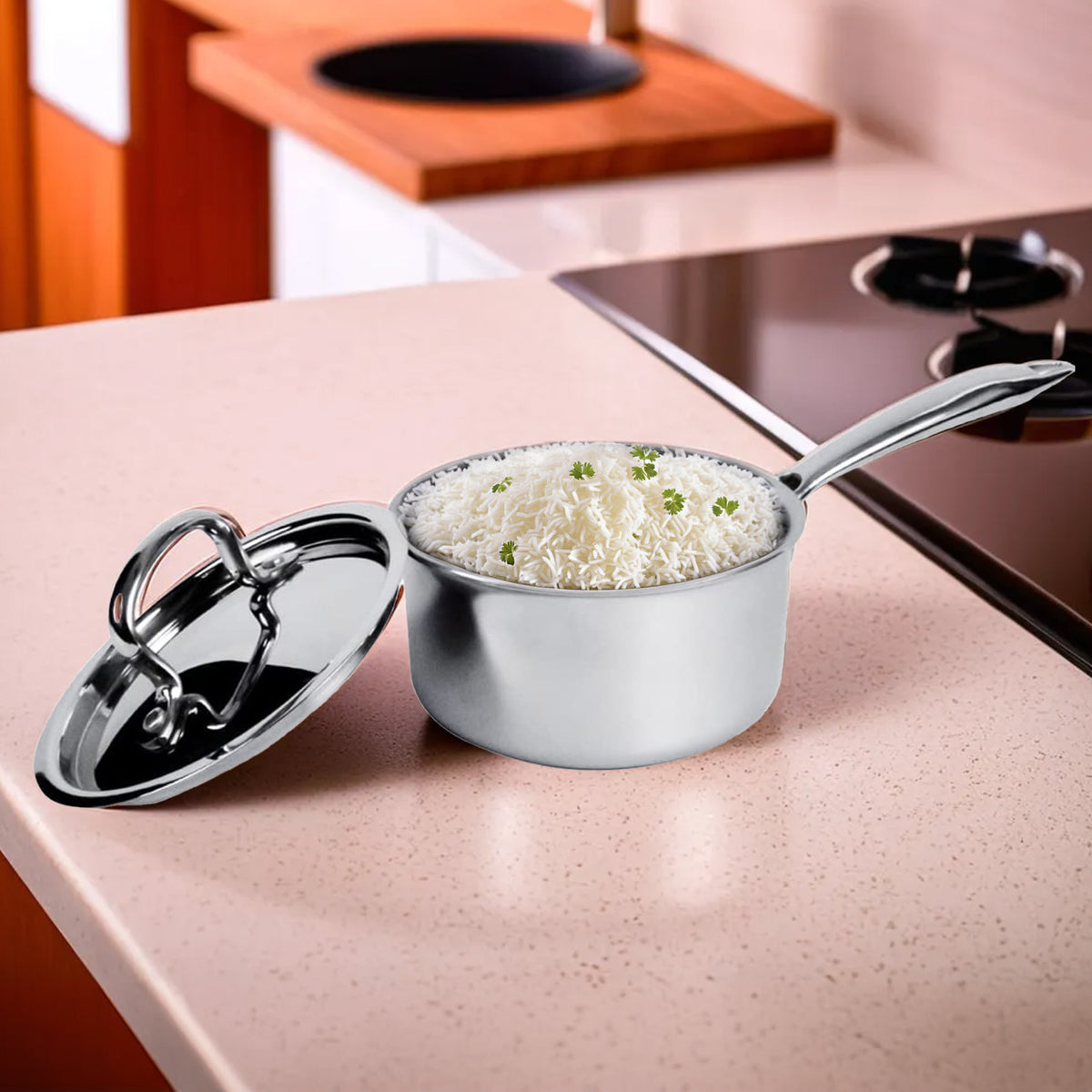 USHA SHRIRAM saucepan - perfect for induction cooktops