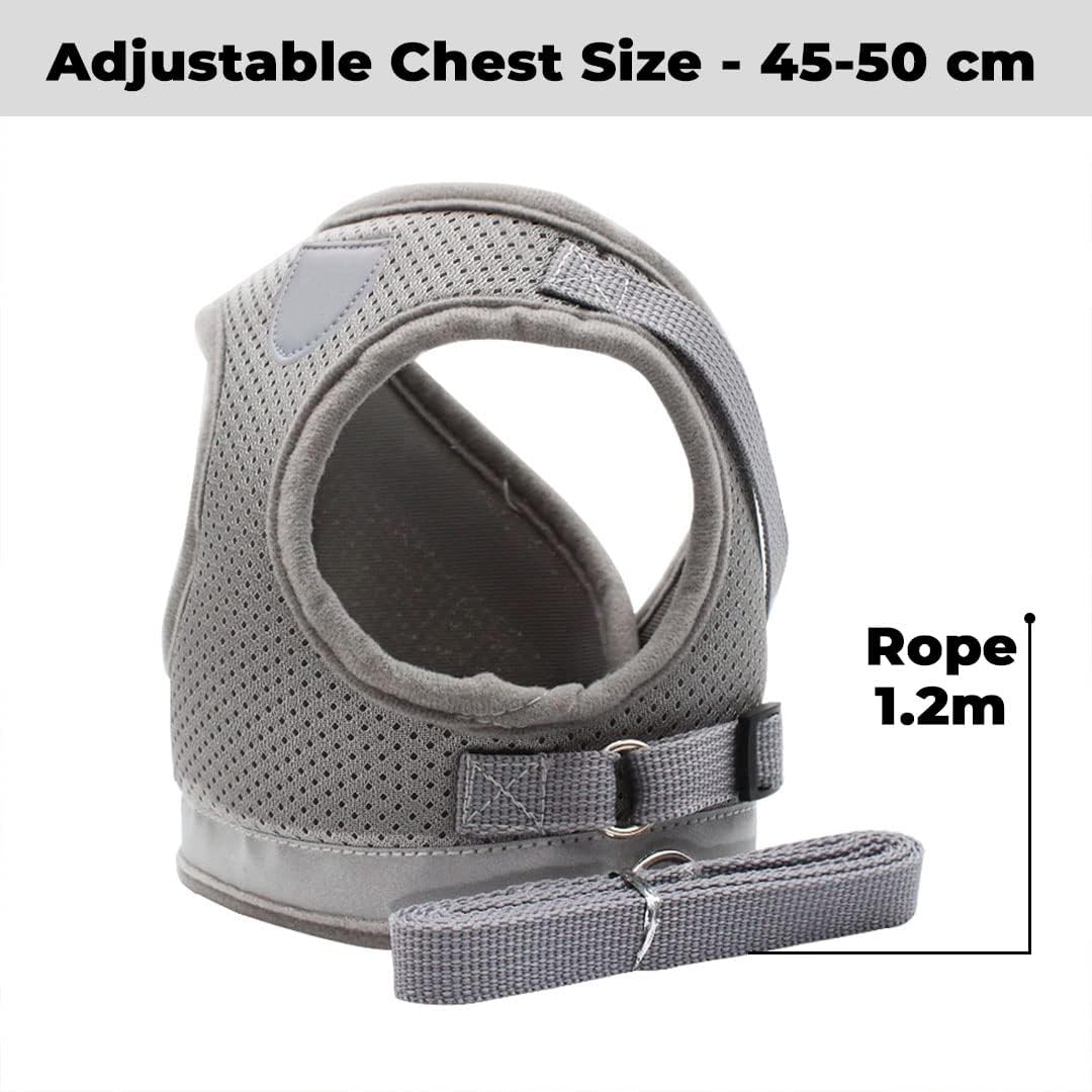 Kuber Reflective Dog Harness - pet training session
