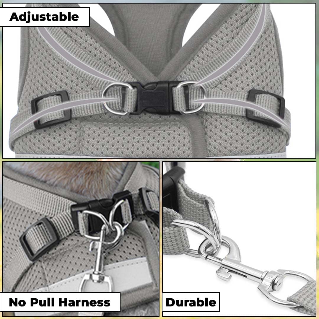Kuber Reflective Dog Harness - stylish canine outdoor adventure