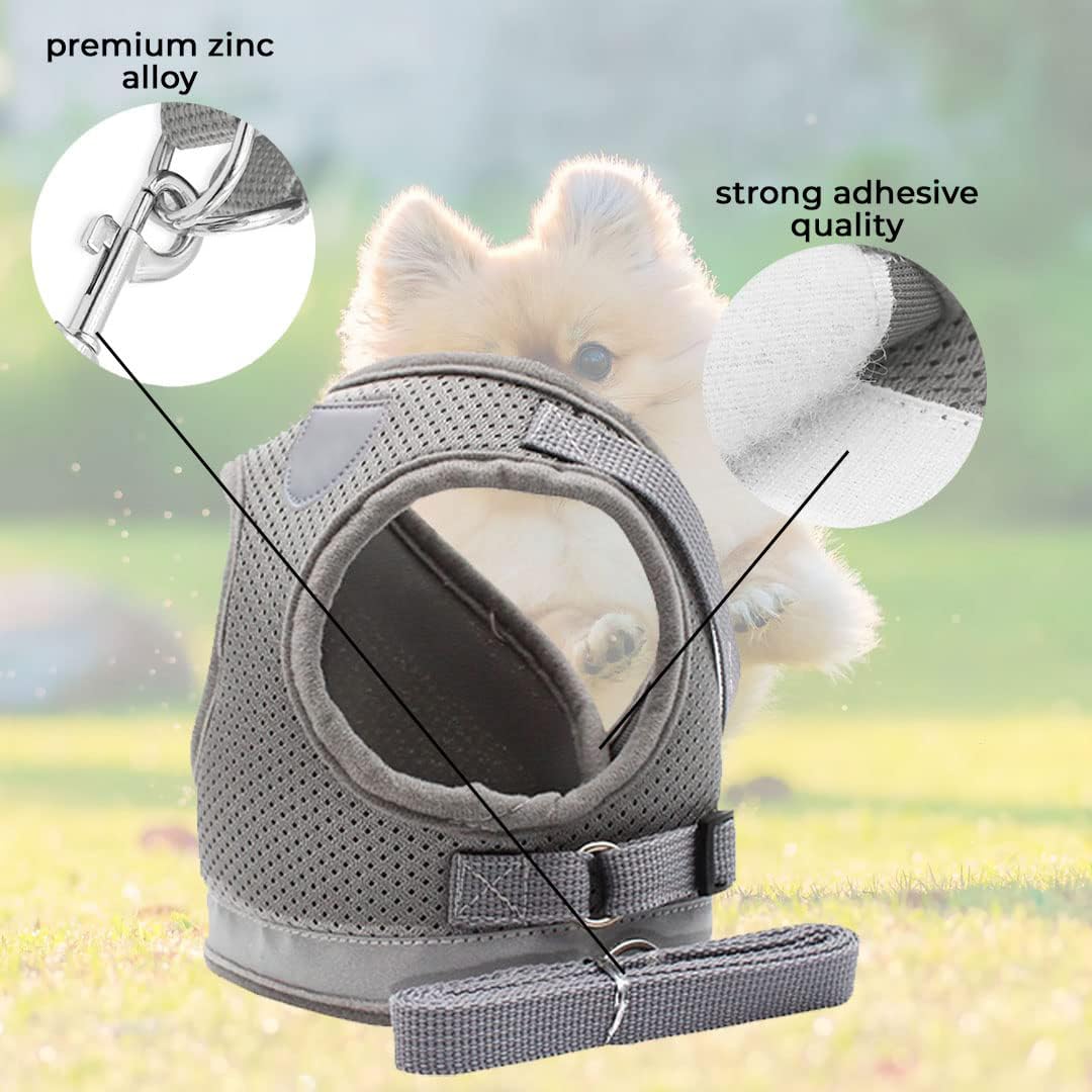 Kuber Reflective Dog Harness - small dog walking in park