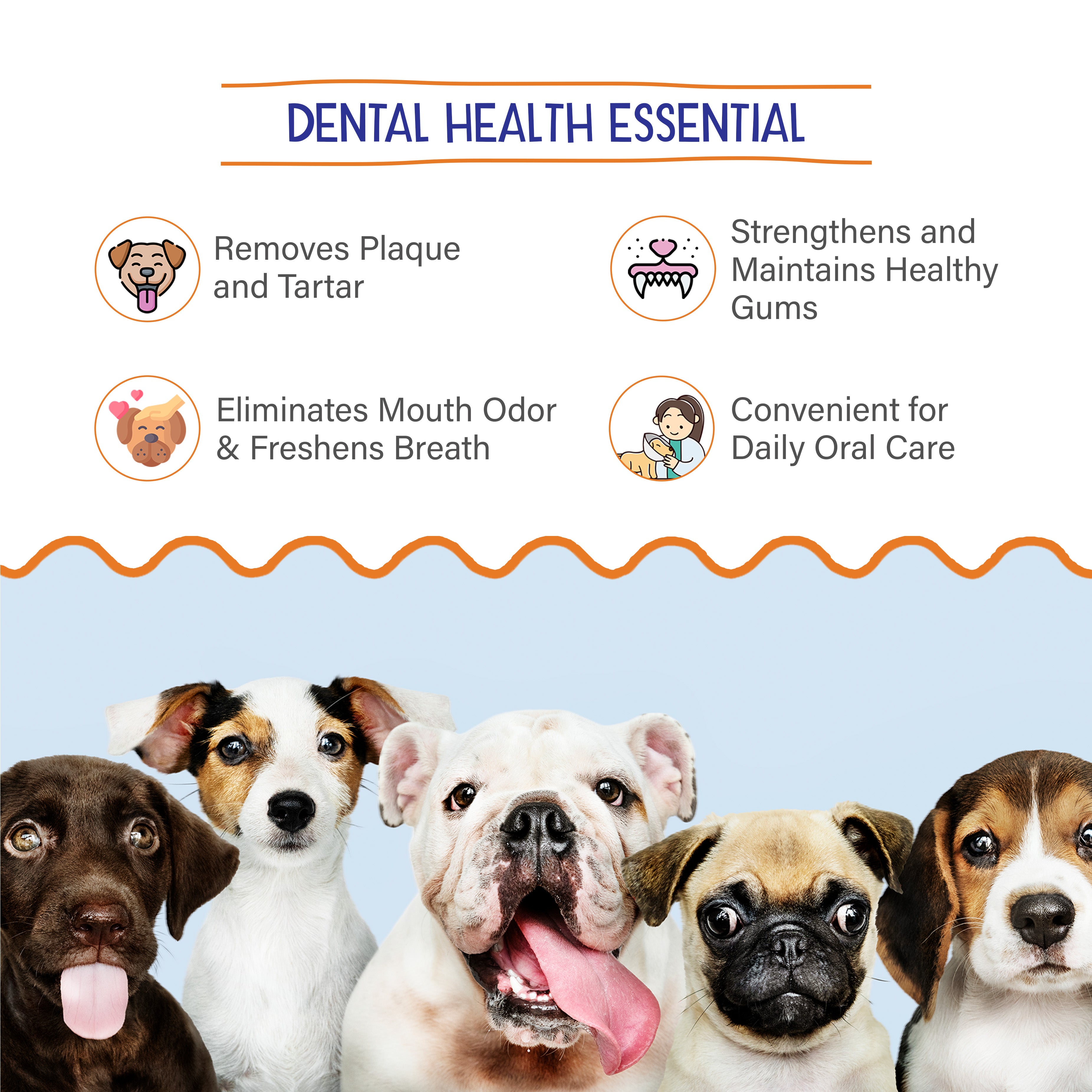 Petvit dental wipes - convenient cleaning for dogs