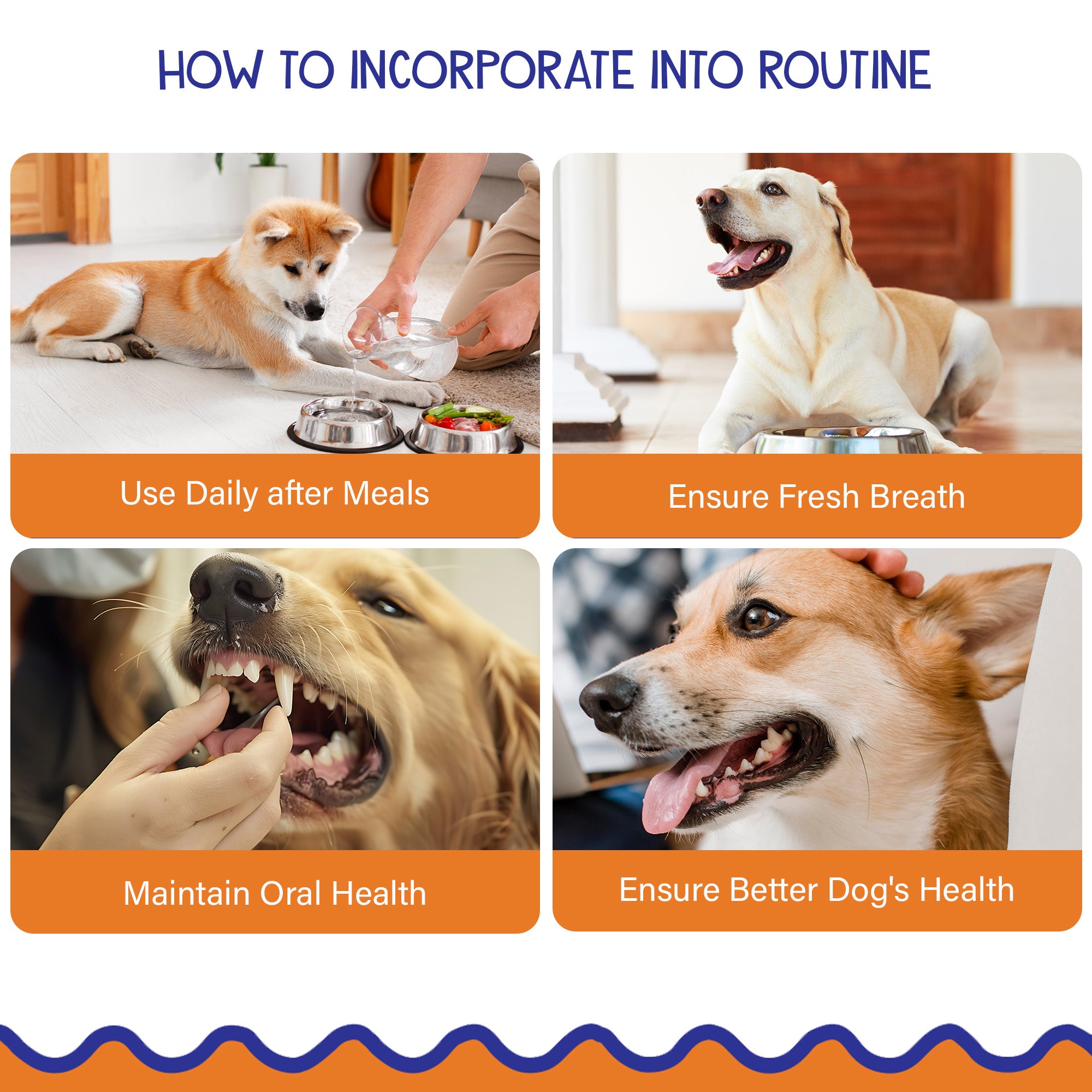 Petvit Oral Hygiene Liquid - Tartar Control for Dogs