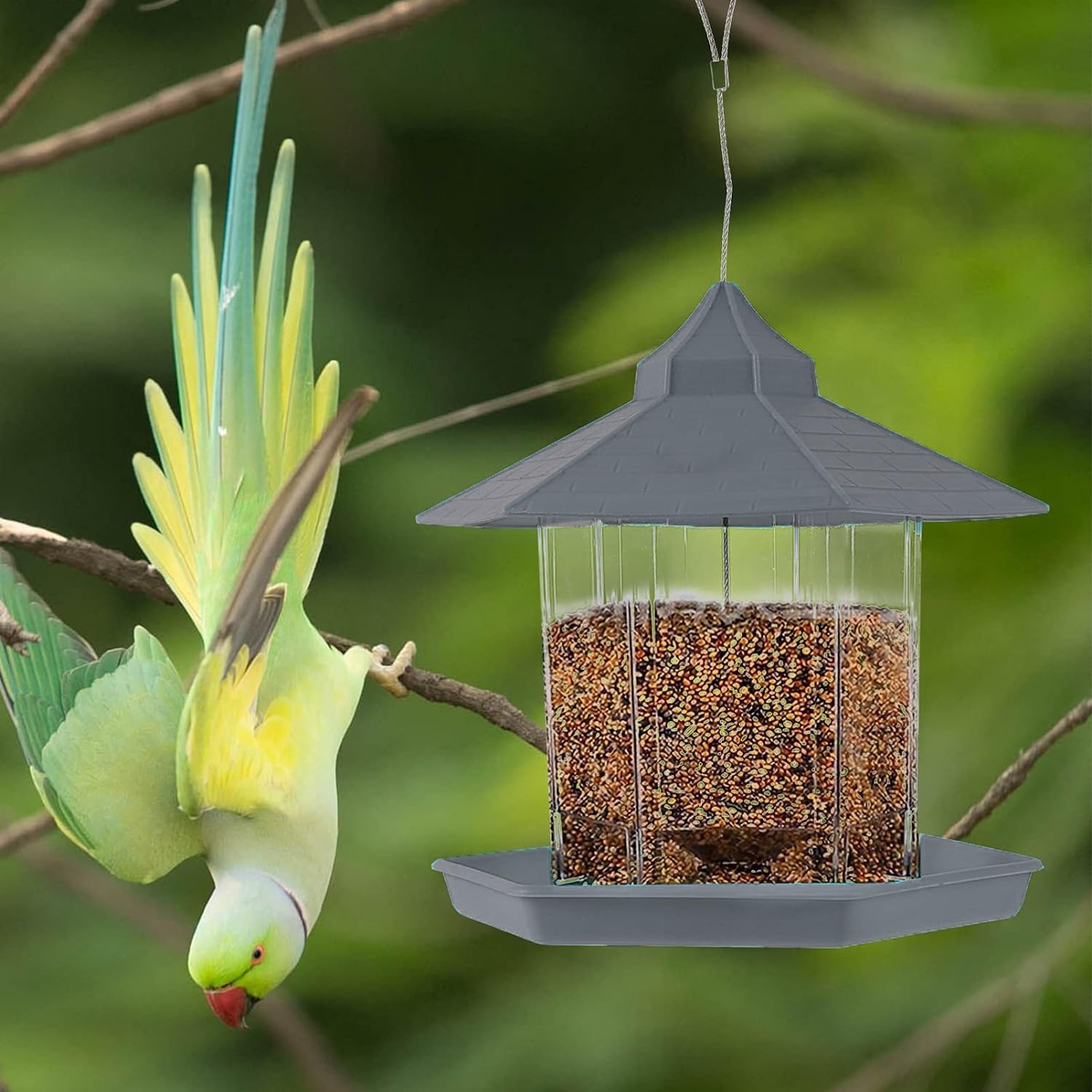 Kuber Industries bird feeder - great for backyard viewing