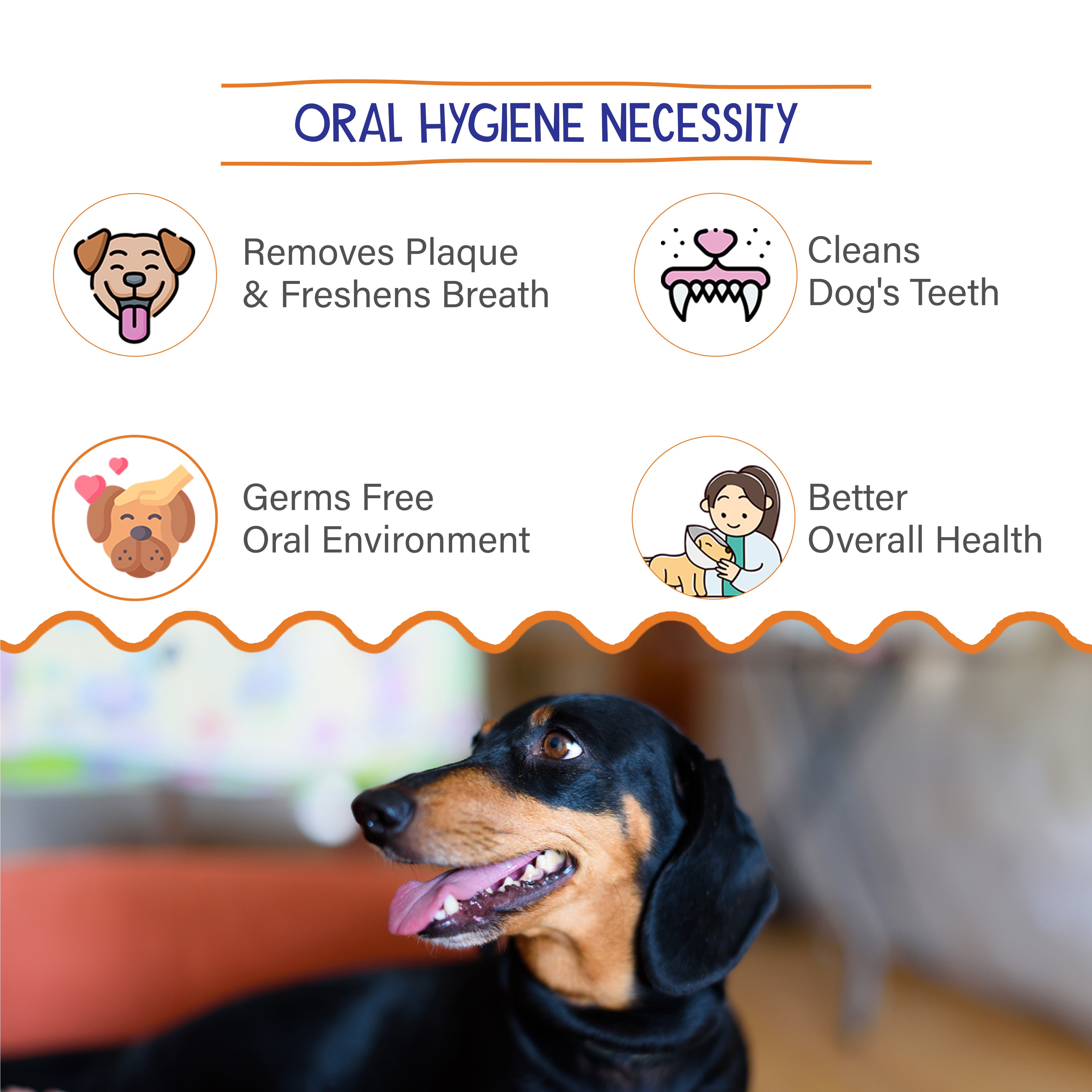 Petvit Dental Care Liquid - Plaque Removal for Cats