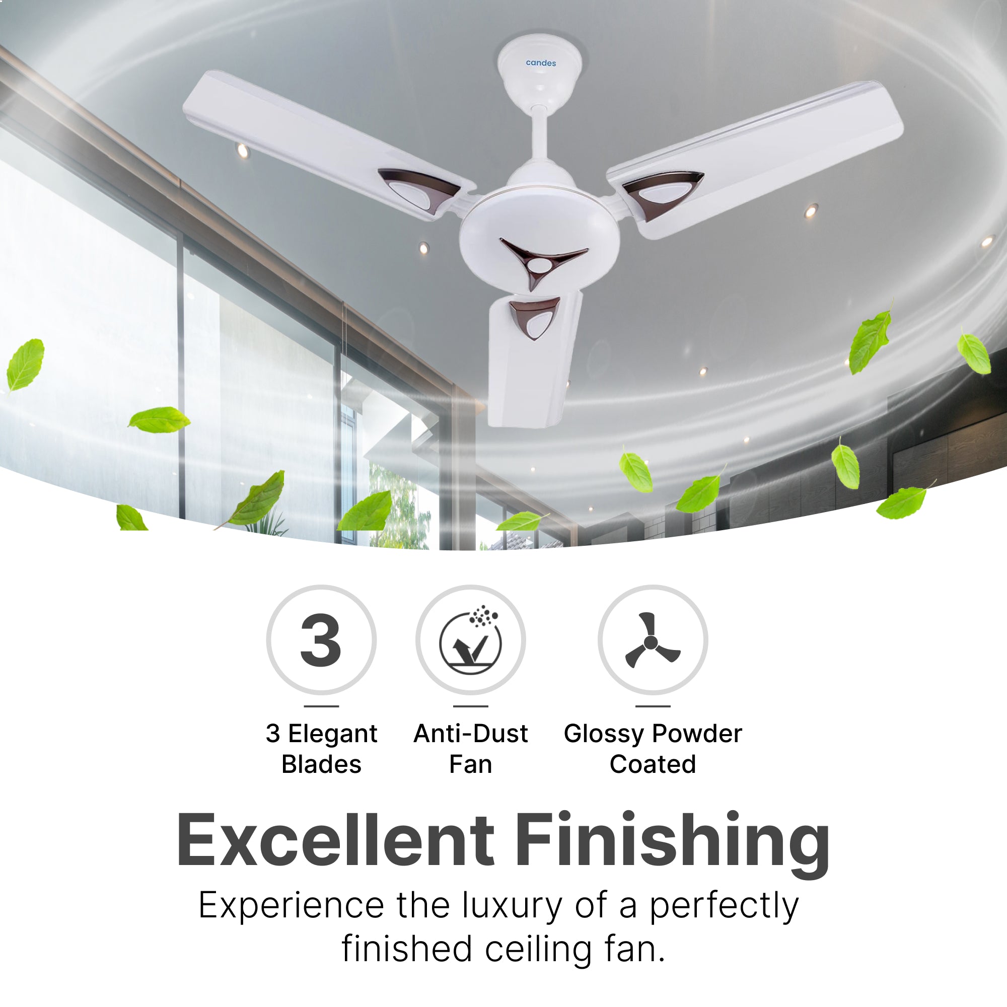 Candes Amaze ceiling fan - energy efficient solution