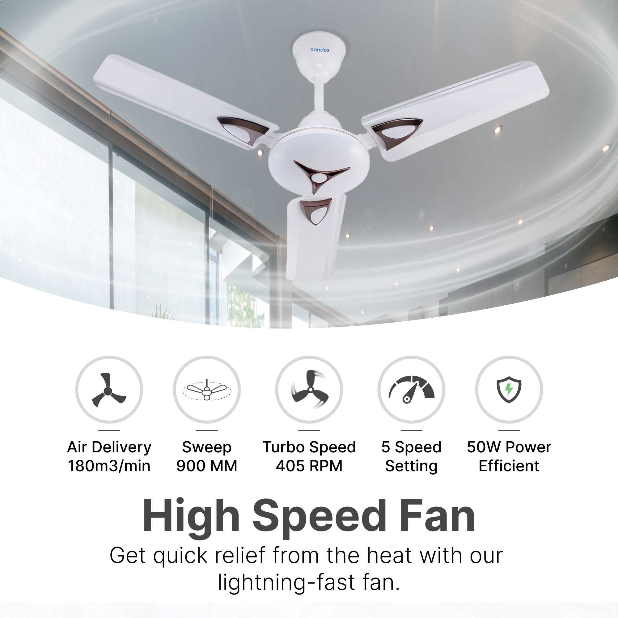 Candes ceiling fan combo - home decor enhancement