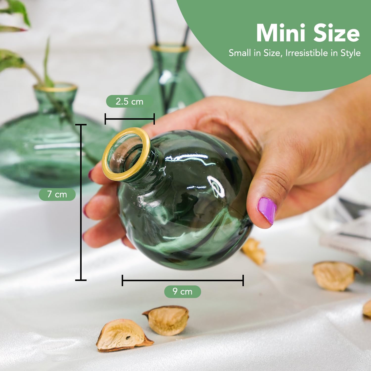 Ekhasa decorative glass vases - perfect for flowers