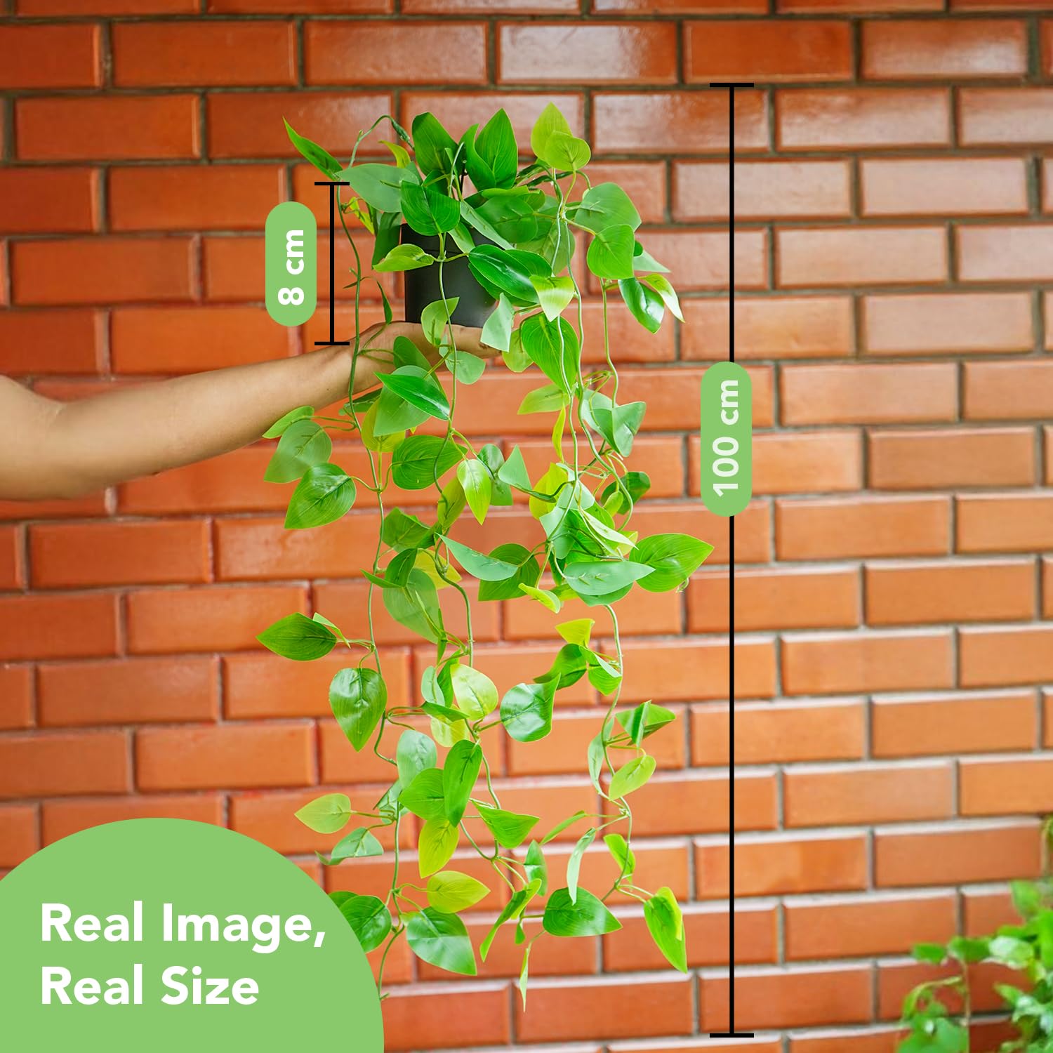 fake golden pothos Buy Ekhasa Set of 2 Golden Pothos Hanging Plants – GlobalBees Shop