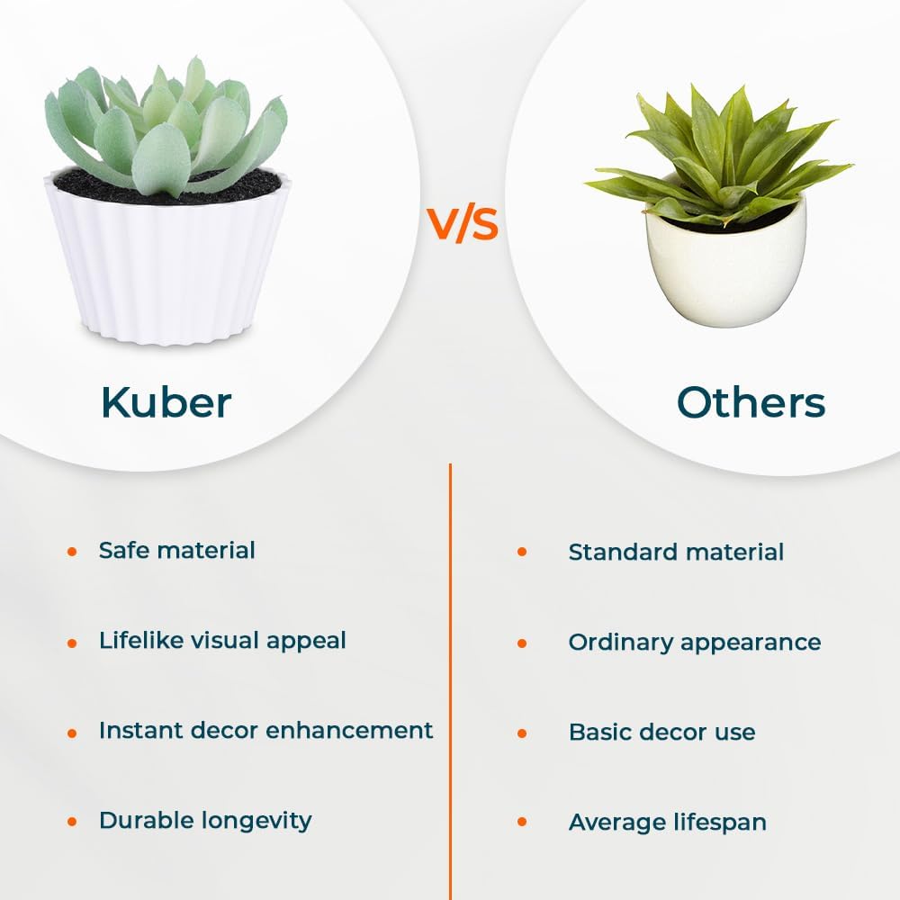 Kuber Artificial Plants - Office Decoration