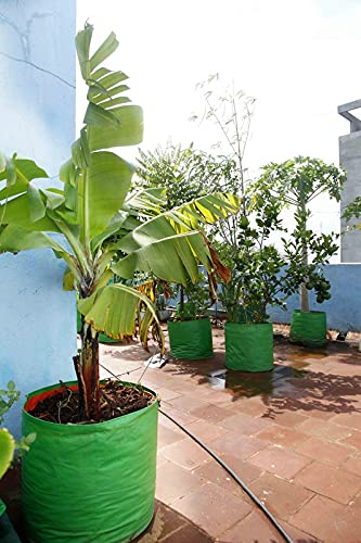 Classic Mosquito Net Plant Grow Bags - Suitable for Terrace Gardening