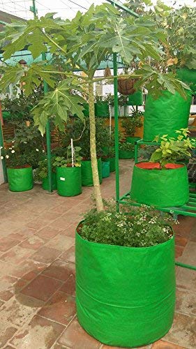 Classic Mosquito Net Garden Plant Bags - Ideal for Vegetable Planting