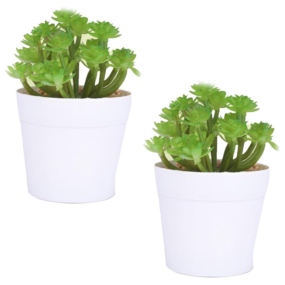 Kuber Industries Artificial Plants for Home Décor|Natural Looking Indoor Fake Plants with Pot|Artificial Flowers for Decoration-Pack of 2 (Green)