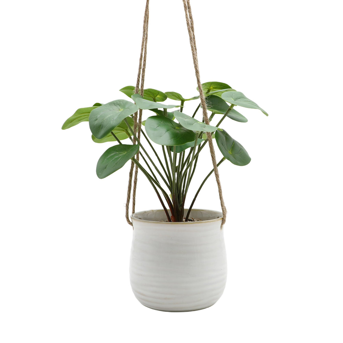 Anko Artificial Pilea in Hanging Stoneware Pot Planter with handle | 25cm (H) x 11cm (Dia) | Showpiece for Home decor, Office Desk, Bedroom, Balcony, Living Room, Table Top | Realistic Decorative item