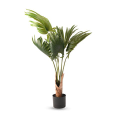 Kuber Industries Scallop Artificial Tree | 6 Leaf Fan Plant | 120 CM Green Leaves Plant with Pot | Tropical Plant for Home Decor | Greenery Faux Leaves Plant | Plastic | FH-PK1206 | Green