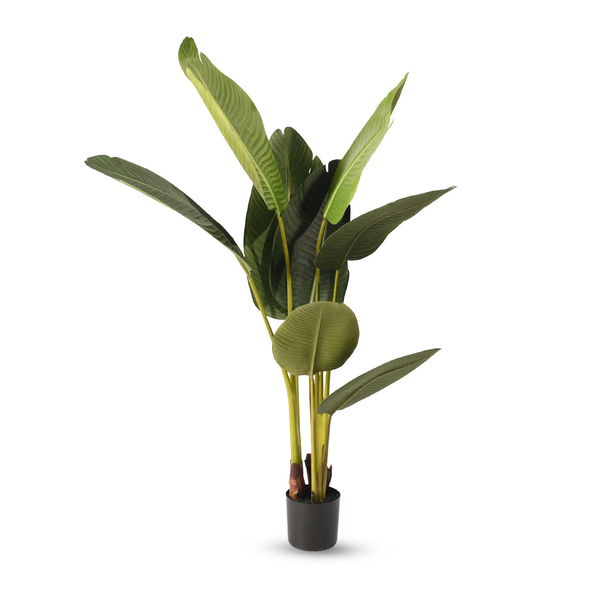 Kuber Industries Banana Leaf Artificial Plant | 117 CM Tree with Flexible Trunks | 8 Leaves Greenery Plant with Pot | Plant for Home Decor | Plastic | FH-M1208 | Green