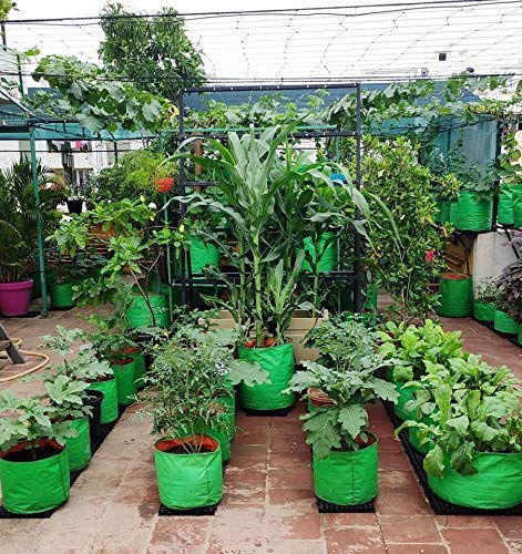 Classic Mosquito Net plant grow bags - ideal for home gardening