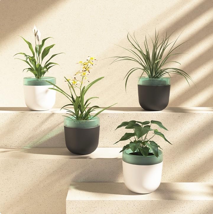 Ekhasa Self Watering Plants Pots (Set of 4) for Indoor, Garden, Balcony, Office Desk, Living Room, Bedroom, Table, Interior, Home Decor or for Gift (Pots only, No Plants Included with Purchase)