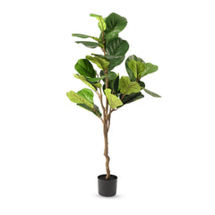 Kuber Industries Fiddle Leaf Fig Artificial Tree | 130 CM Tall Plants | 30 Leaves Greenery Plant with Pot | Plant for Home Decor | Plastic | FH-QYR130 | Green