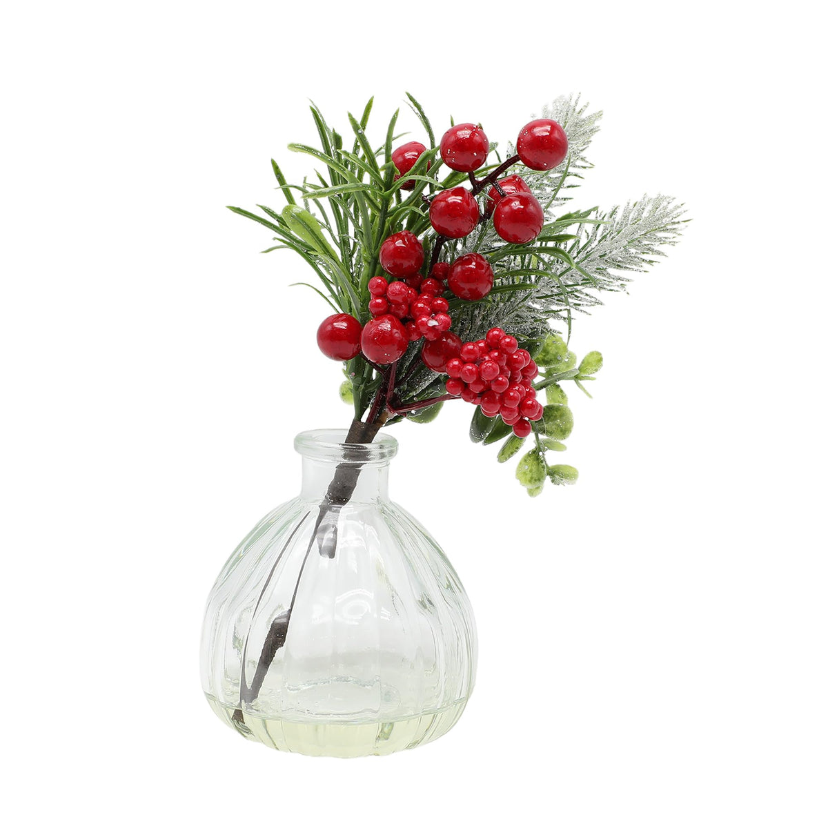 Anko Artificial Mini Plant with Glass Vase | Ideal Christmas Decorations for Home Decor, Office Desk, Living Room, Table Top | Christmas Gifts for Home | 21cm (H)x 9cm (Dia.)