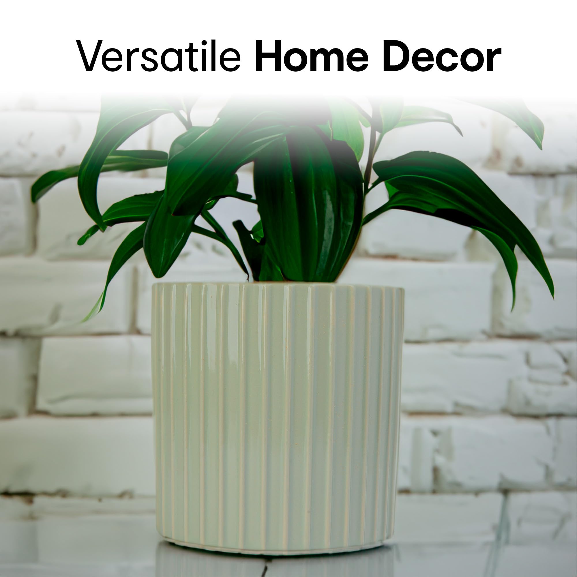 Anko Elegant Ribbed Flower Vase - Table top decoration