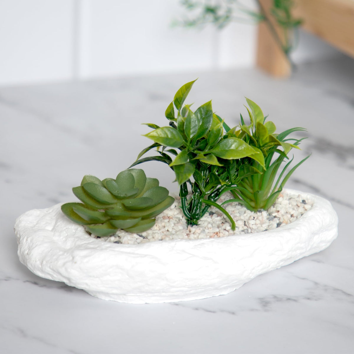 Anko Succulents in Bowl | Planter for Indoor Use Home, Office, Garden, Balcony | Home Accent, Coastal Decor, Embossed Design| Green & White | 19cm (L) X 11cm (H) X 10.5cm (W)|