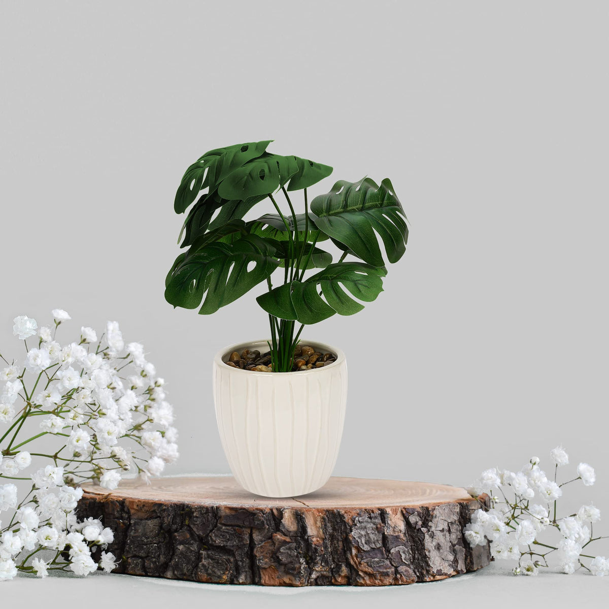 Anko Artificial Monstera Plant & White Ceramic Pot | Natural Look Artificial Plant with Large Leaves | Decorative Item For Home, Office, Bedroom, Balcony, Living Room | Artificial Plant for Home Décor