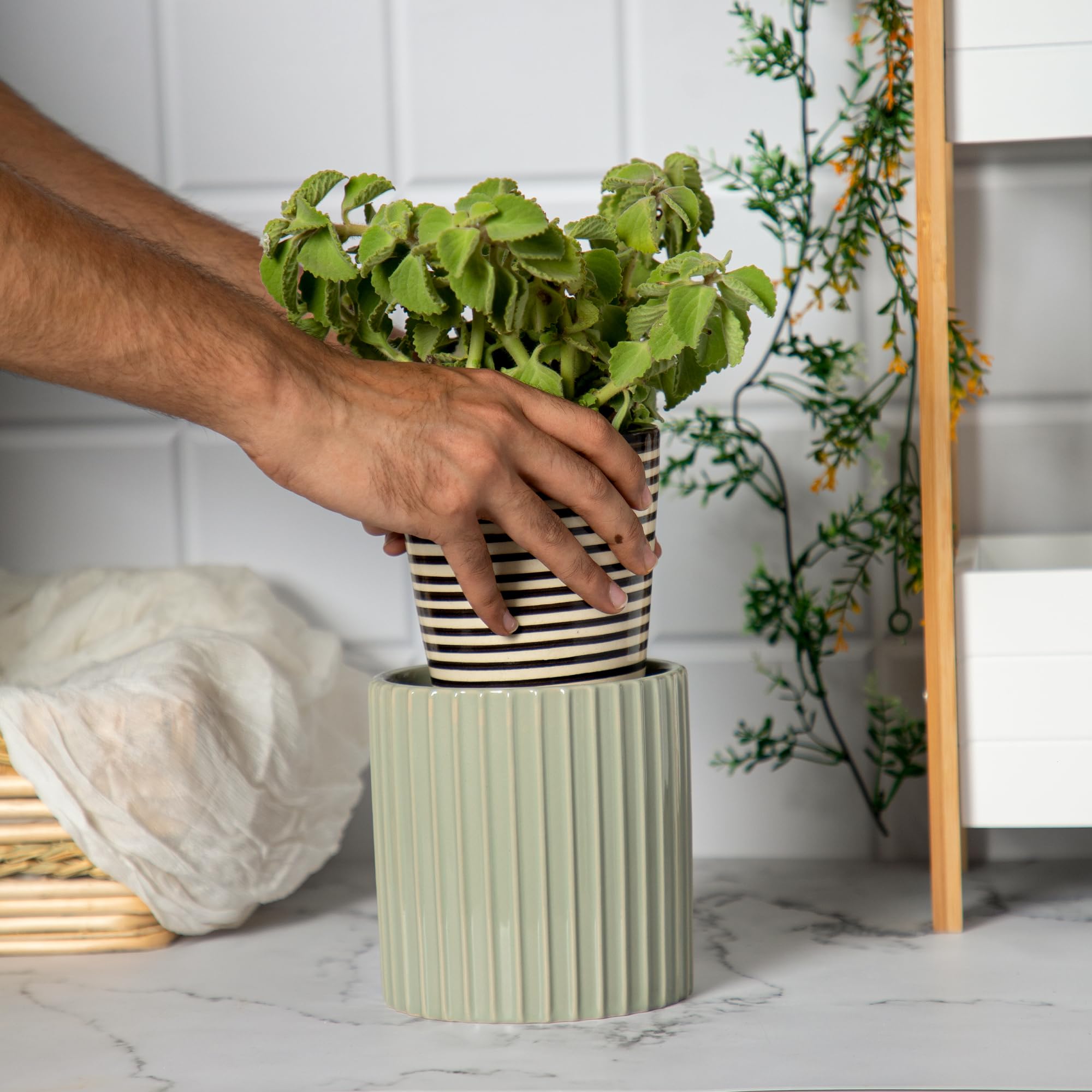 Anko Elegant Ribbed Flower Vase - Modern home accessory