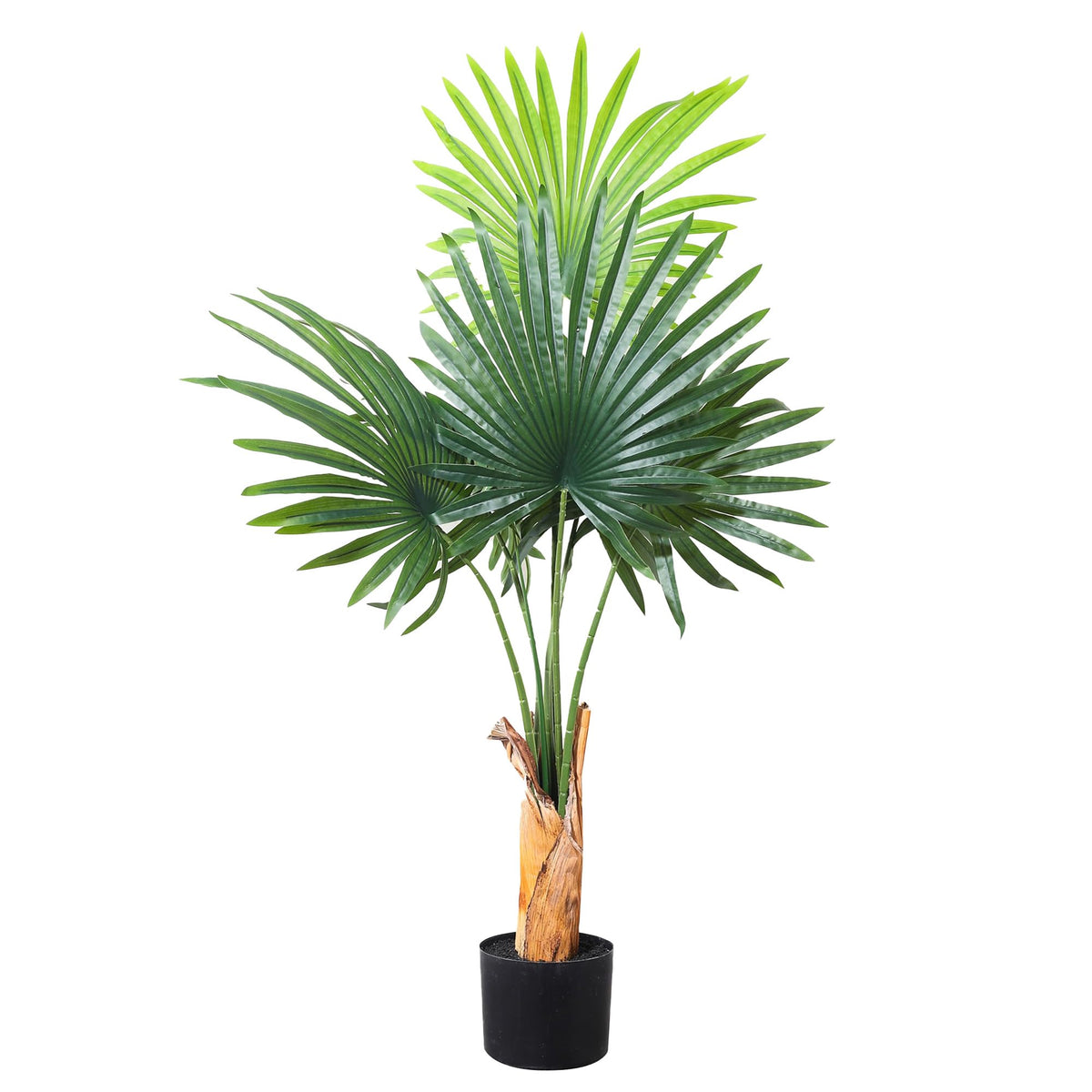 The Better Home Artificial Plants for Home Decor with Pot | Green Scallop Tree | 120 CM Long | Aesthetic Room Decor Items for Living Room, Hall, Balcony | Fake Plants for Office, Reception Area