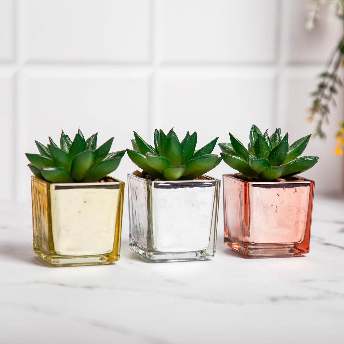 Anko Plastic Glitter Succulents- Set Of 3|Decorative Artificial Flowers In Glass Cups|Gold,Yellow,And Silver Color Options|Home Decor|Centerpieces|Kitchen|Office Or Living Room|7.5 Cm Height