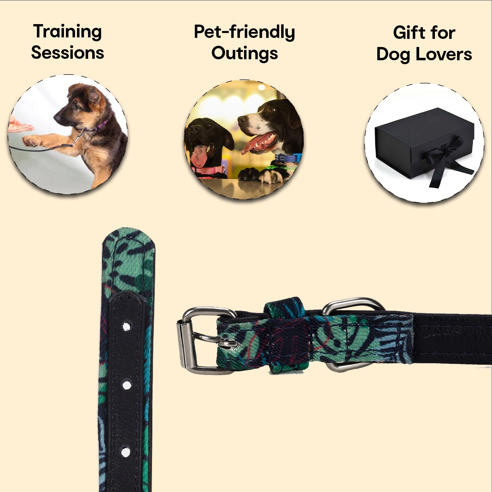 Anko Dog Collar - Comfortable fit for training and running