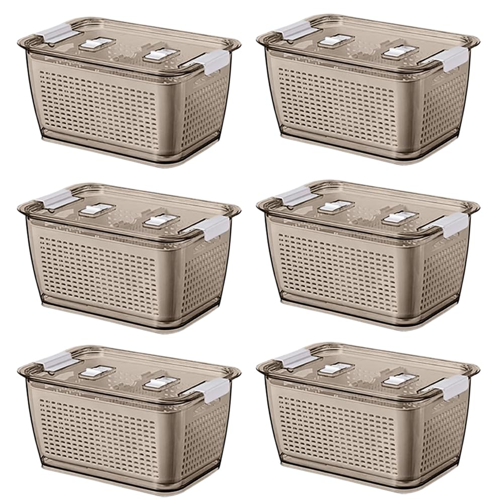 Kuber Industries Small Refrigerator Storage Crisper with Lid & Detachable Hollow Basket-Pack of 6 (Brown)