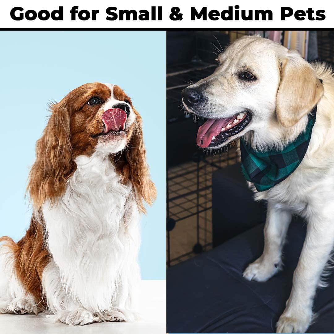 Kuber Industries 2 in 1 pet bowls - Outdoor use