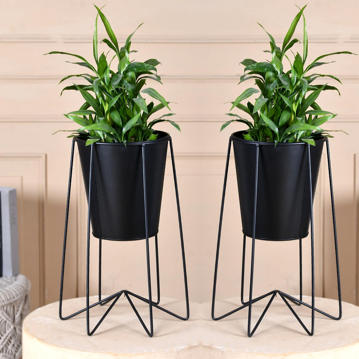 Kuber Industries Planter Gamla Stand For Home Plant Stand for