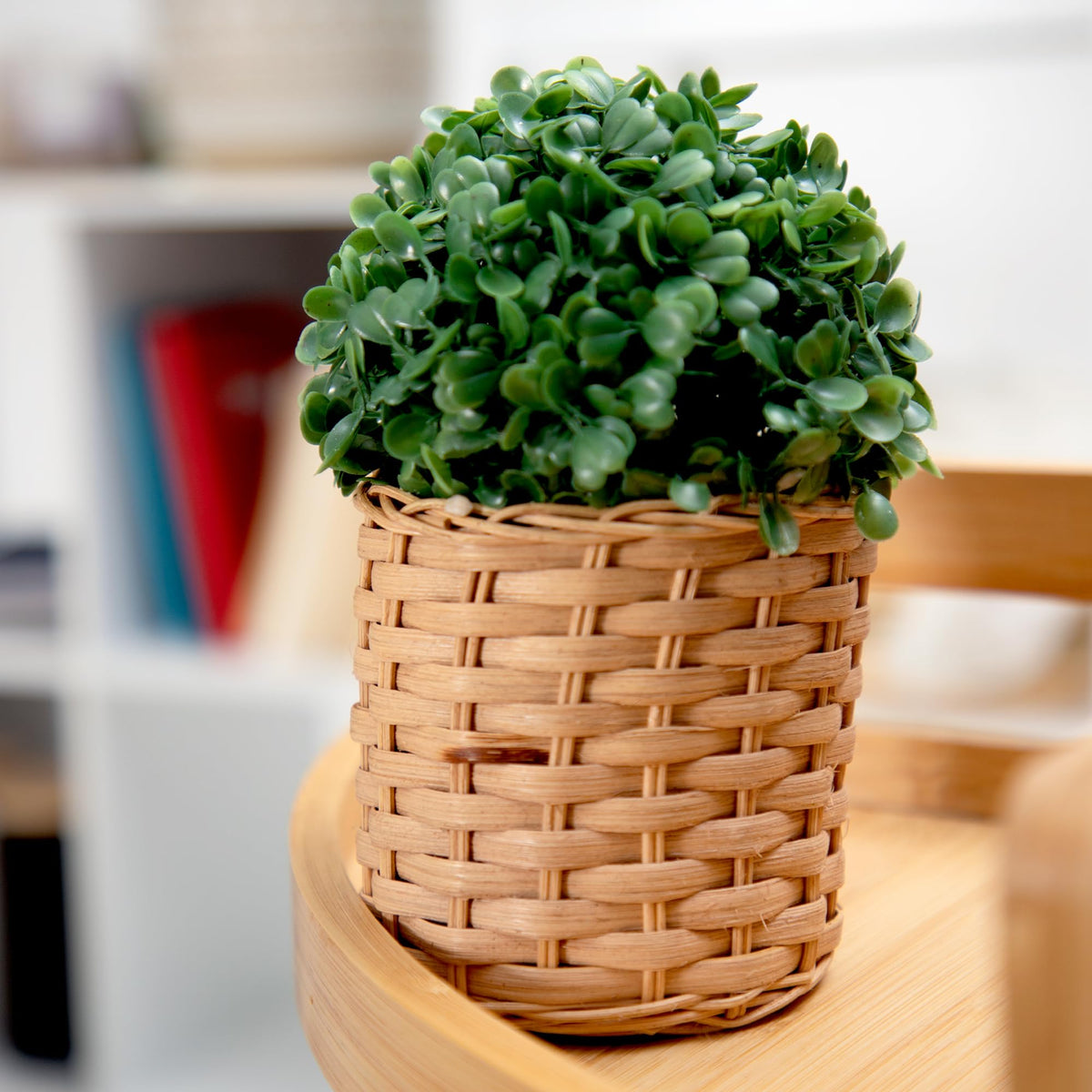 Anko Artificial Plant in Woven Rattan Planter Pot | 18.5cm (H) x 12cm (Dia) | Showpiece for Home Decor, Office Desk, Bedroom, Balcony, Living Room, Table Top, Shelves | Realistic Decorative Item