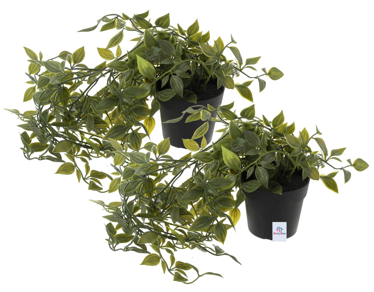 Heart Home Artificial Vine Plants with Pot Natural Look & Plastic Material Easy Home Décor with Small Size Pot Size 27 X 75 X 7 Cm, Pack of 2 (Green and Black), Vine;Pine;Fern;Ivy