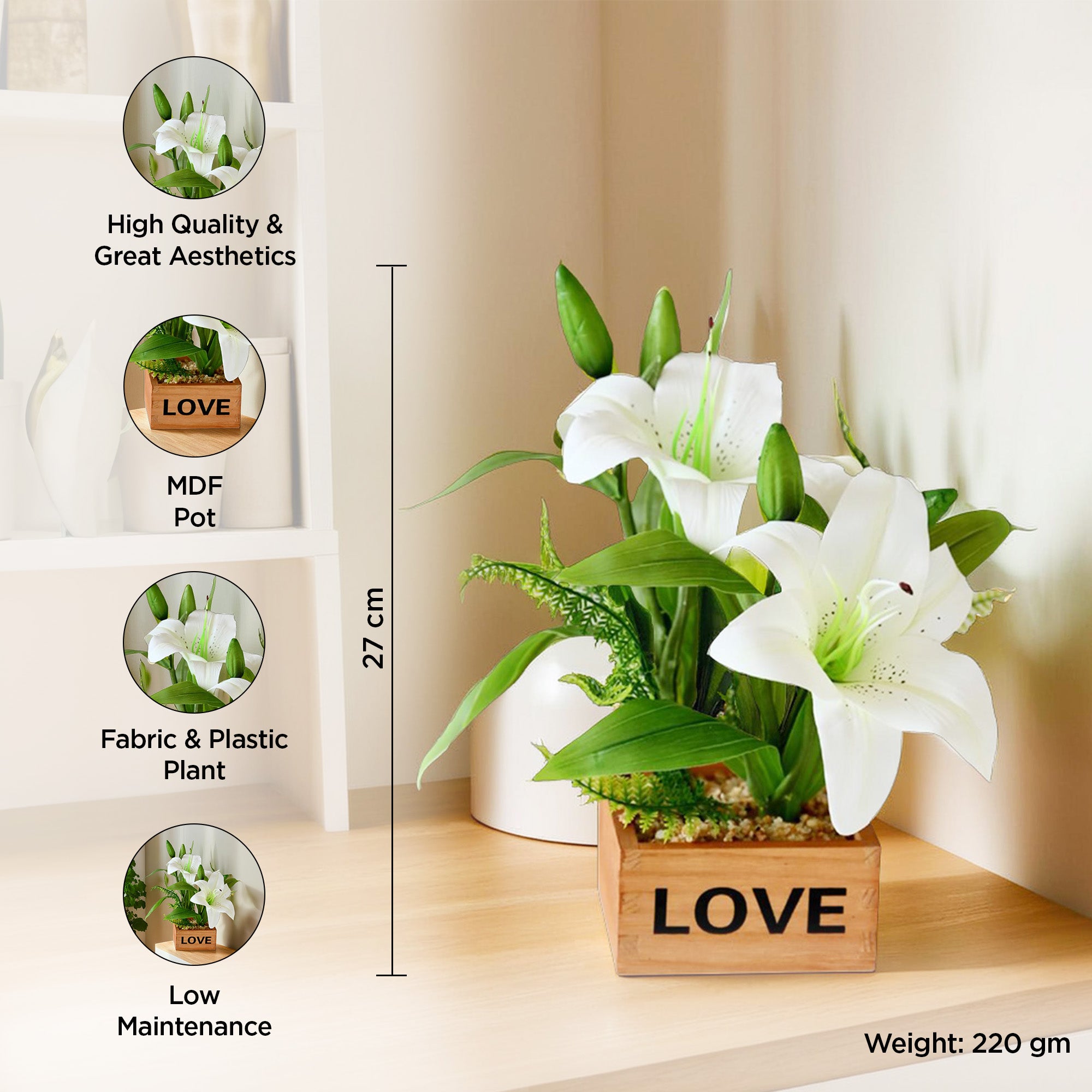 UMAI aesthetic plant - thoughtful gift option