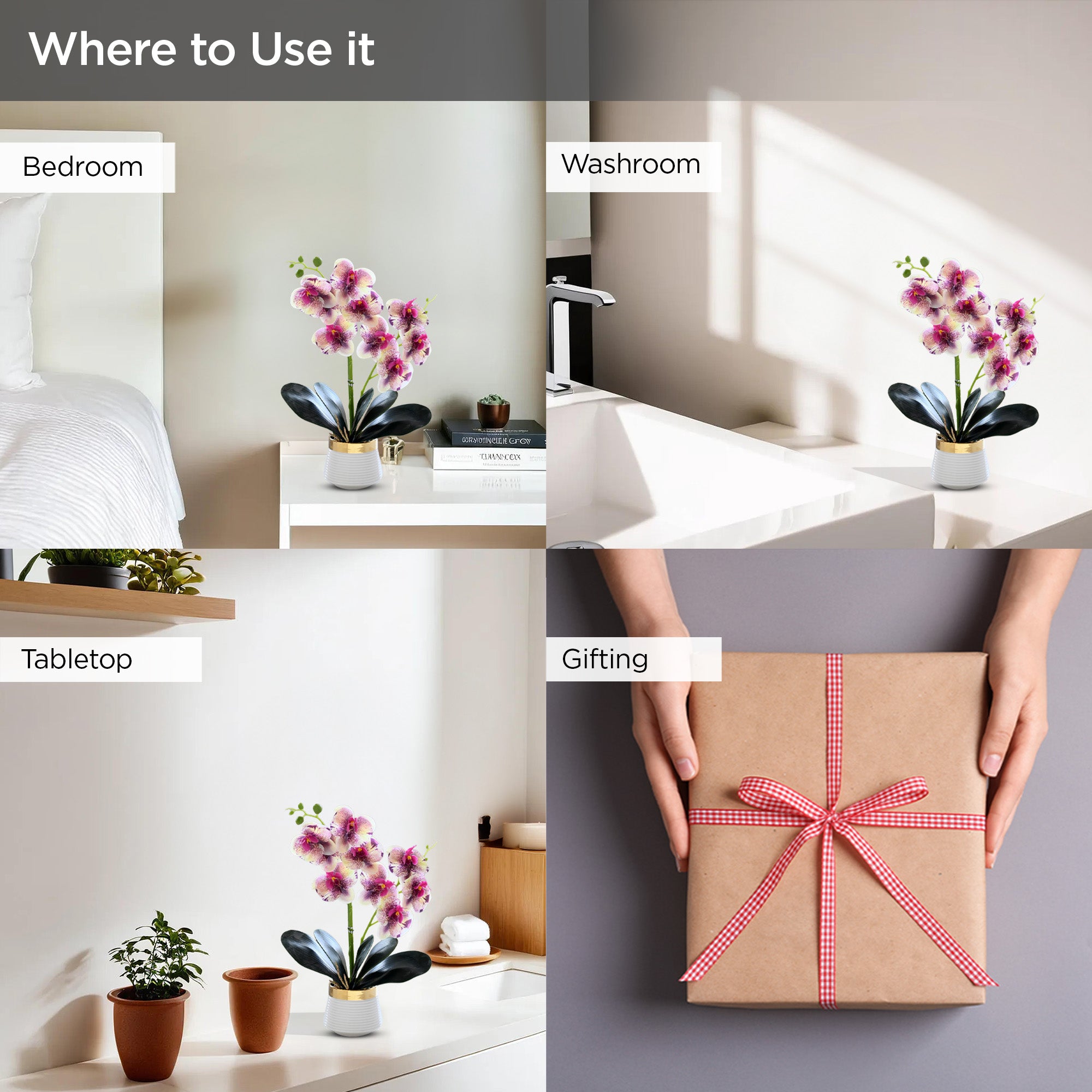 UMAI 36cm orchid - gift for housewarming