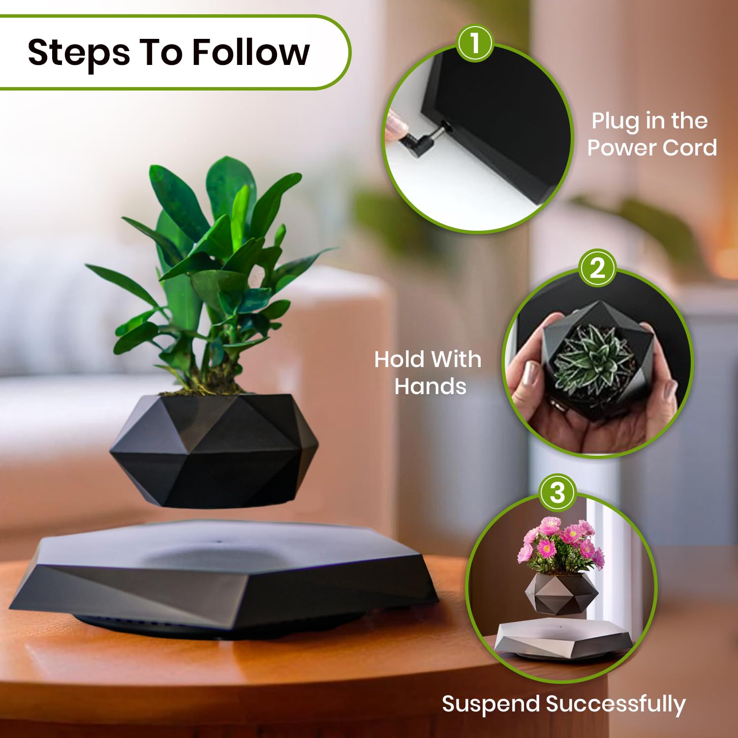 Ekhasa levitating pot - indoor plant decor