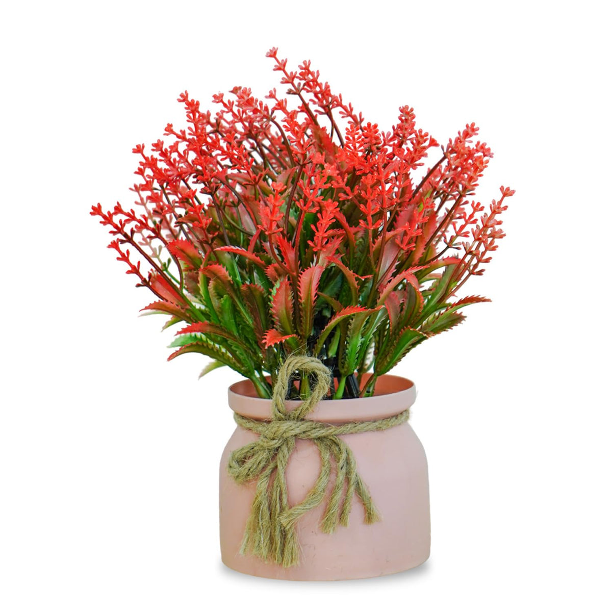 Ekhasa small flower pot with flowers - anniversary gift