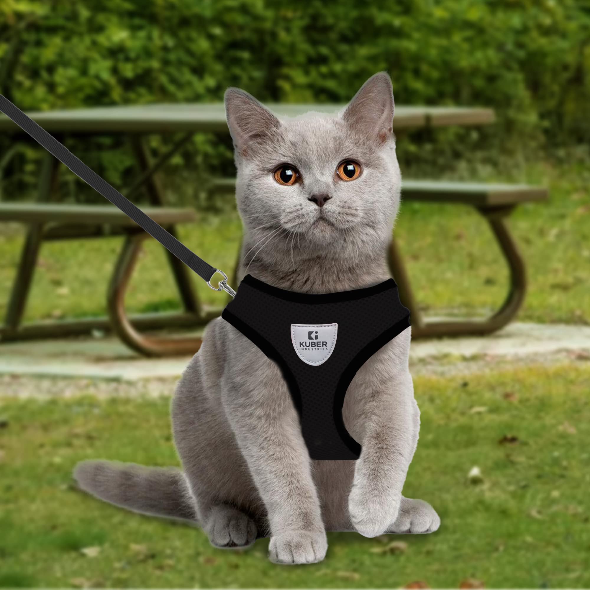 Kuber Industries Comfortable Dog Gear - Outdoor fun for pets